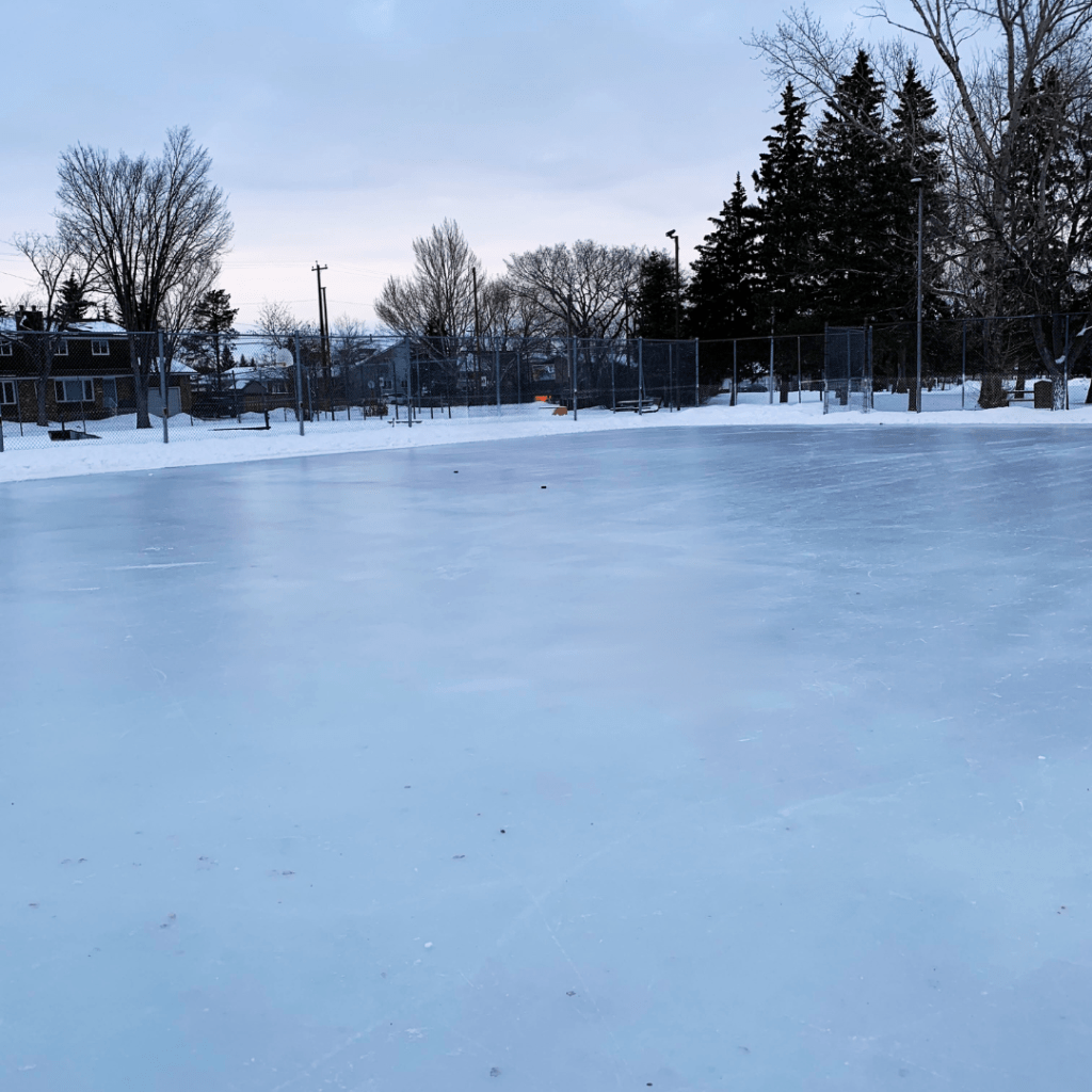 New Year’s Day Family&nbsp;Skate